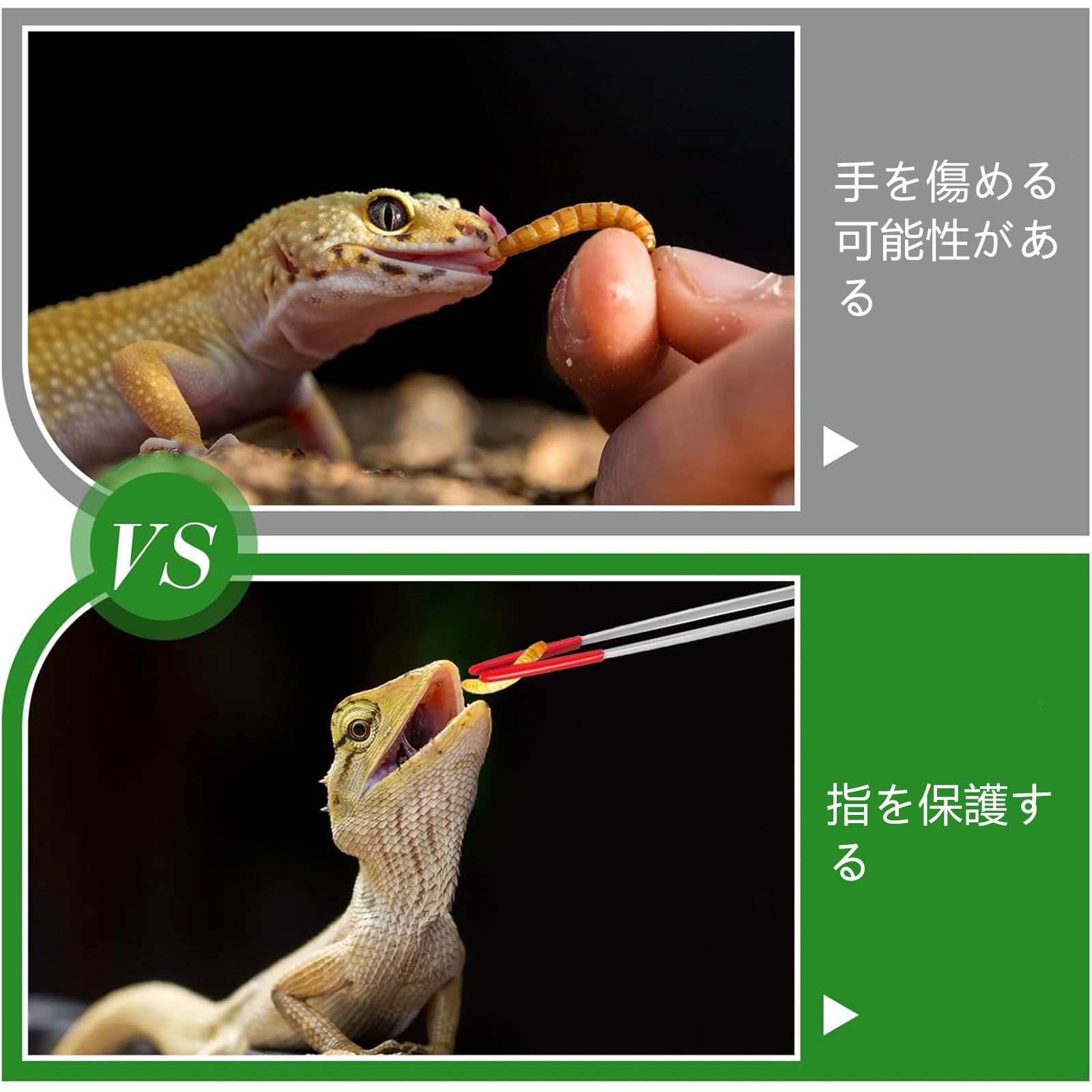 Amazon | 爬虫類 ピンセット 爬虫類給餌トング 2個入り 27cm